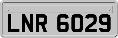 LNR6029