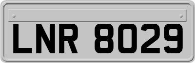 LNR8029
