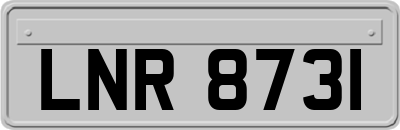 LNR8731