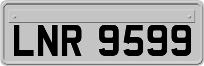 LNR9599