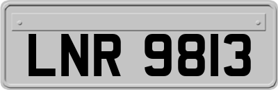 LNR9813