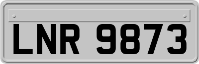 LNR9873