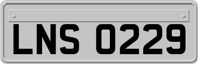 LNS0229