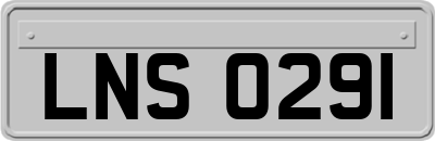 LNS0291