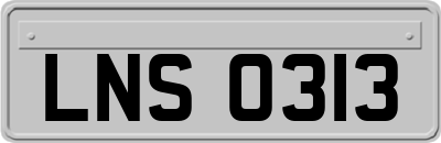 LNS0313