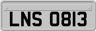 LNS0813