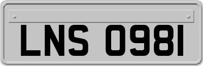 LNS0981