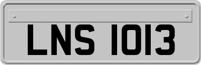 LNS1013