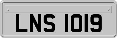 LNS1019