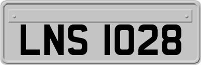 LNS1028