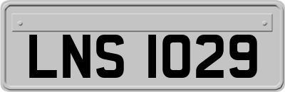 LNS1029
