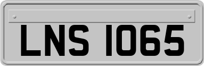 LNS1065