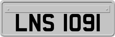 LNS1091