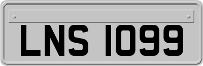 LNS1099