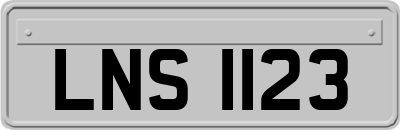 LNS1123