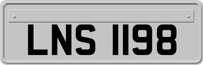 LNS1198