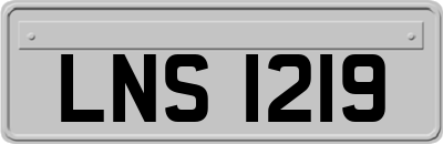 LNS1219