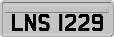 LNS1229