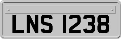 LNS1238