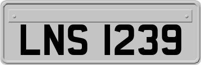 LNS1239