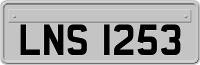 LNS1253