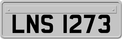 LNS1273