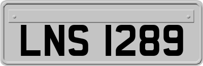 LNS1289