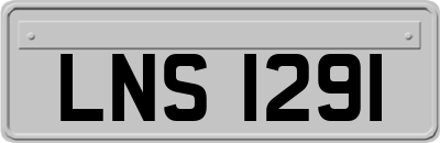 LNS1291