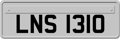 LNS1310