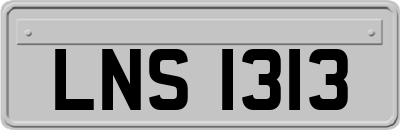 LNS1313