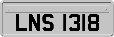 LNS1318