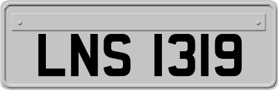 LNS1319