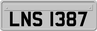 LNS1387