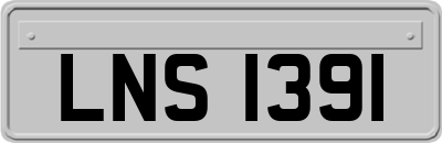 LNS1391