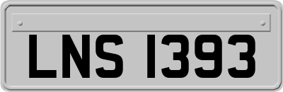 LNS1393