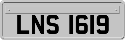 LNS1619