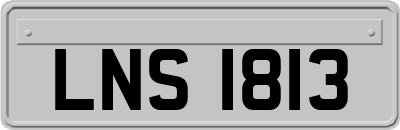 LNS1813