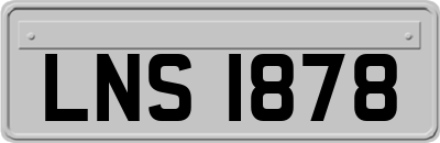 LNS1878