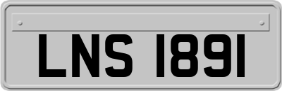 LNS1891