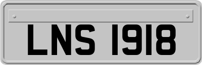 LNS1918