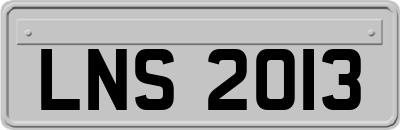 LNS2013