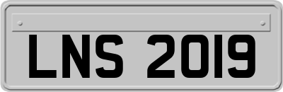 LNS2019