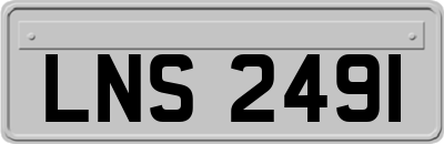 LNS2491