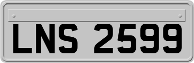 LNS2599