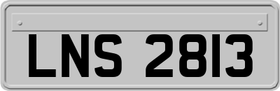 LNS2813