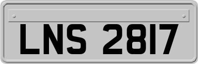 LNS2817