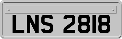 LNS2818