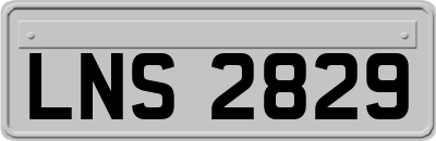 LNS2829