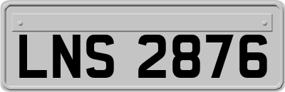 LNS2876