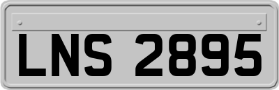 LNS2895